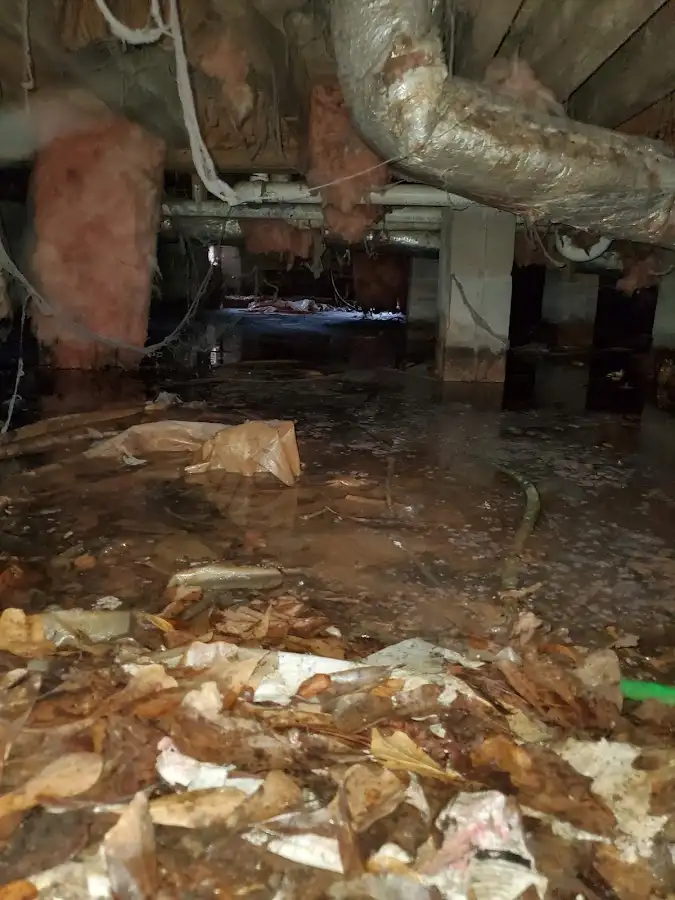 Crawl space flood assessment for Leak Detection & Repair in Pacific Grove