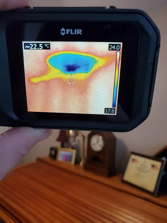 Thermal imaging inspection for water damage in Pacific Grove