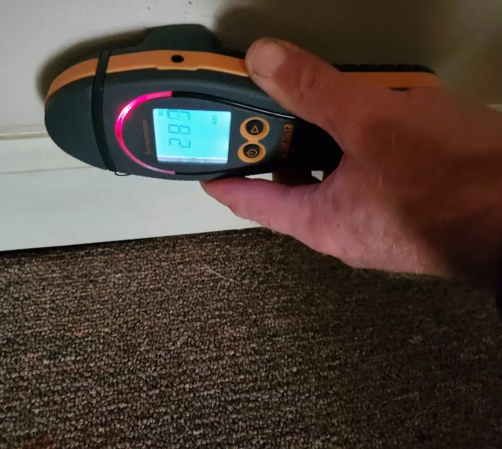 Moisture detection at baseboard during Mold Inspection & Testing in Pacific Grove
